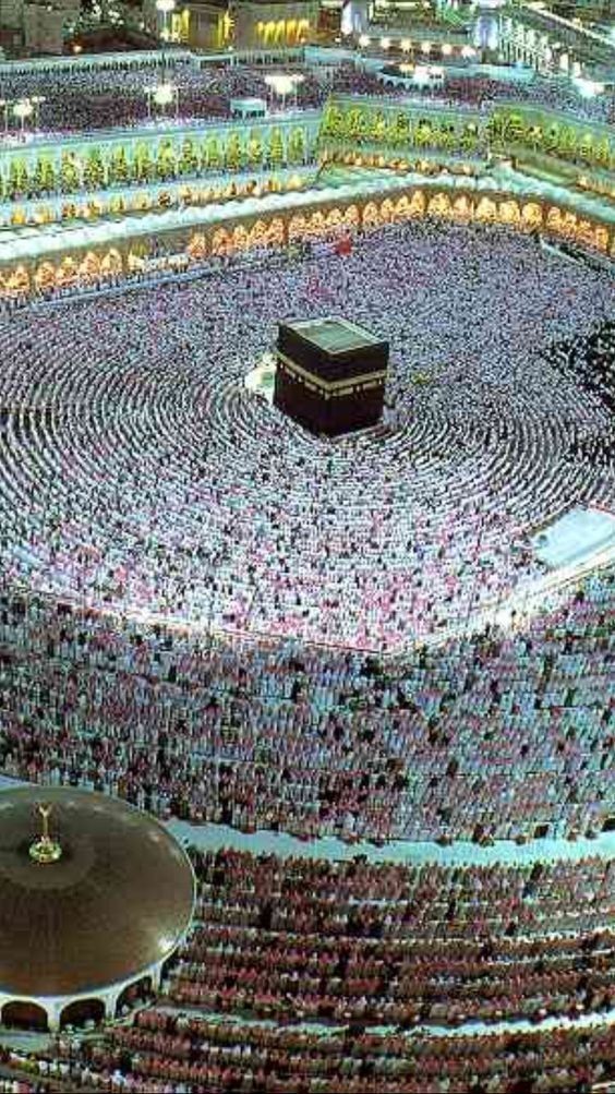 اٙللـَّهـُمَّ صـَلِِِّ وَسّـلٙـِّمْ وَبـَارِكْ  عـٙلـىِِ مُحـٙٙمّـدِِؐﷺ
اَلسَلامُ عَلَيْكُم وَرَحْمَةُ اَللهِ وَبَرَكاتُهُ
صُـبــحَ بَـخـــیَـر و نور
اے اللہ!ظالم حکمرانوں کو ذلت و لعنت عطا فرما،ان کے محلات کھنڈر،خزانے فنا،نسل رسوا،اور انہیں ایسا عذاب دےکہ نہ مر سکیں نہ جی سکیں۔