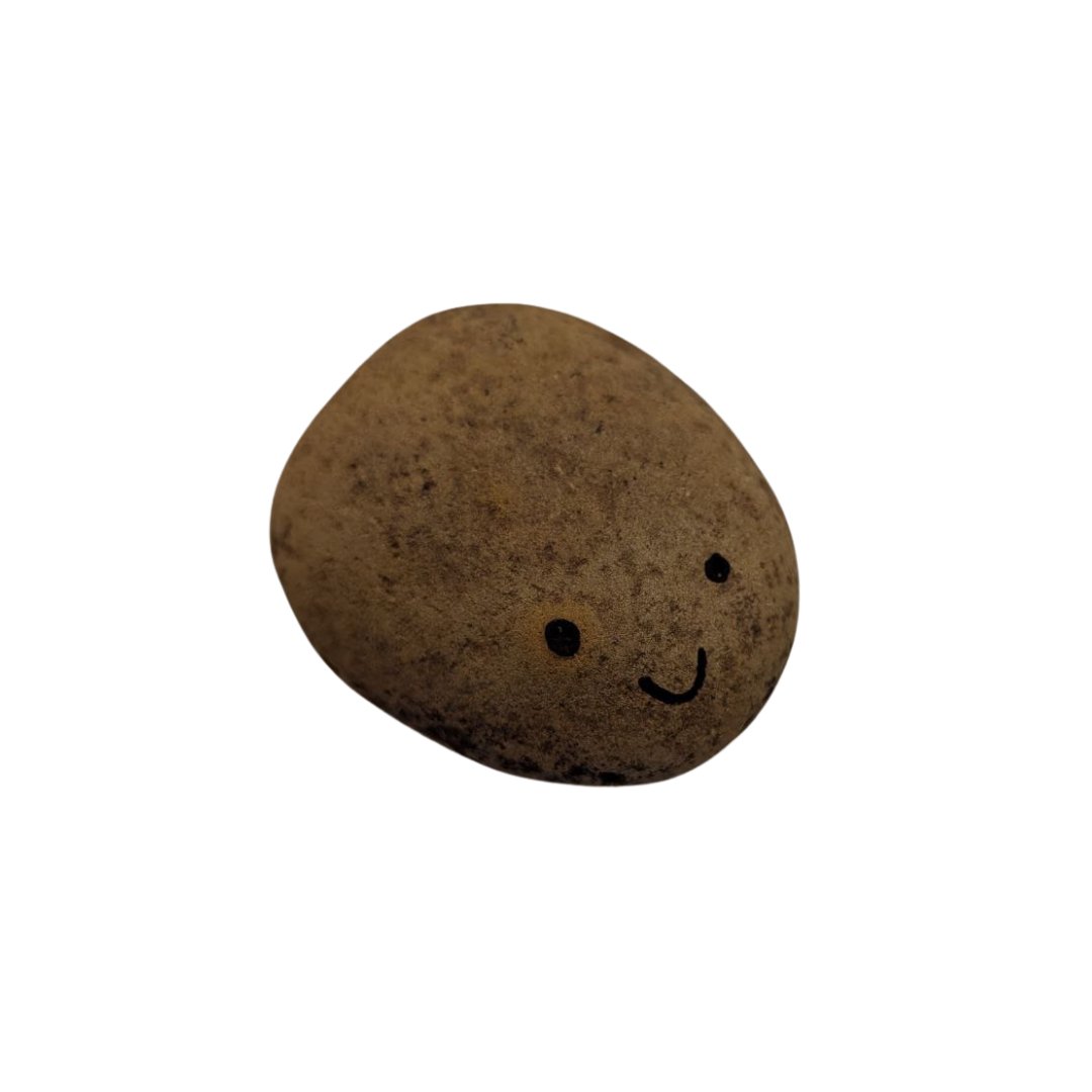 Pet Rock | $ROCKY | Live Pet Rock tweet media