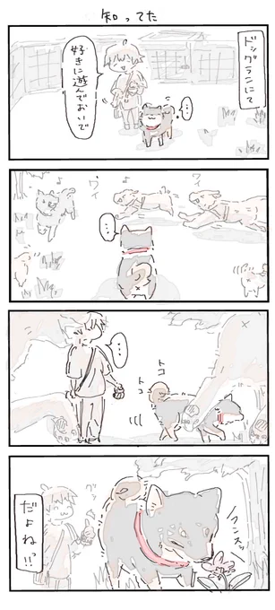 #4コマ漫画 #柴犬
知ってる 