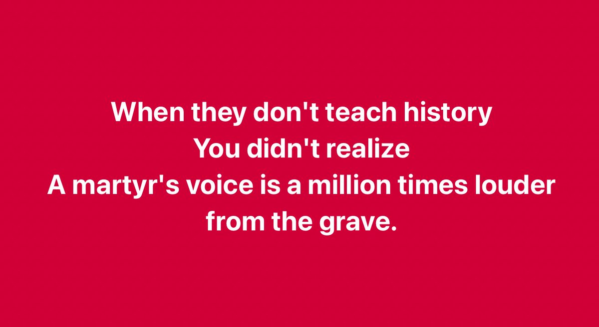 Steve C 🇺🇸 (@steven80881) on Twitter photo 