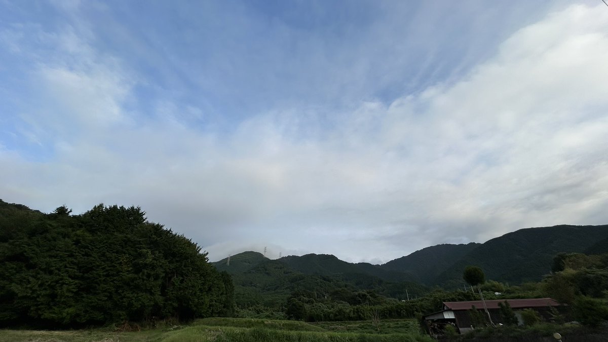 Sincere25892171's tweet photo. 6:18 a.m.
神奈川県秦野市蓑毛地区
朝のお散歩より
朝のBGMが蝉の鳴き声から虫の音に。。。
3枚目。。。掘り返されているは猪🐗?
#HADANO #秦野市情報 #自然 https://t.co/BUembX6mO0