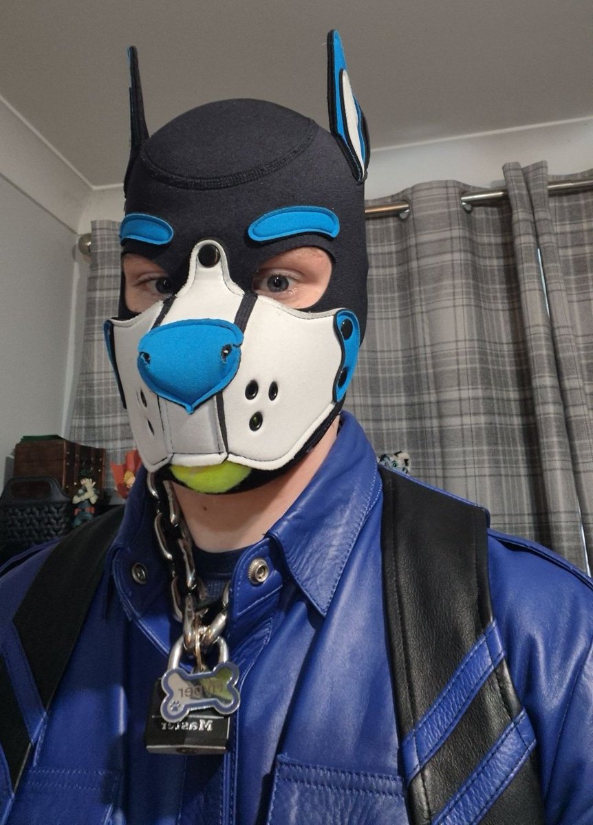 hyperwolf1.bsky.social tweet media