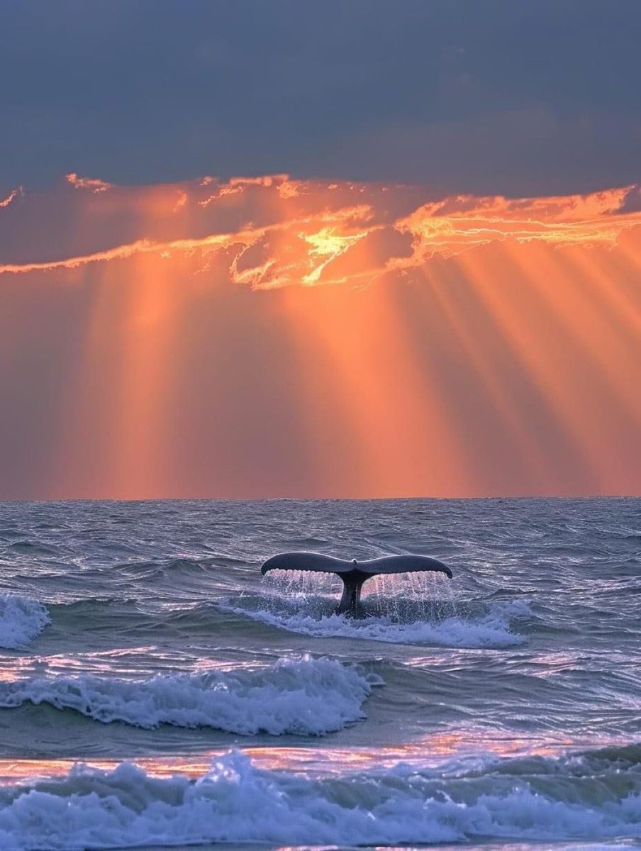 S_Galimberti (@s_galimberti) on Twitter photo 