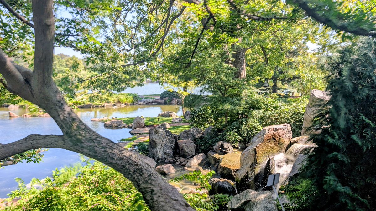 Ran Blekhman tweet media