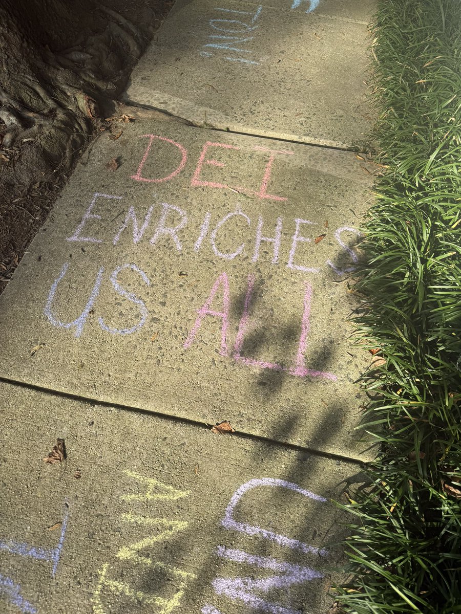 Katie Miller tweet media