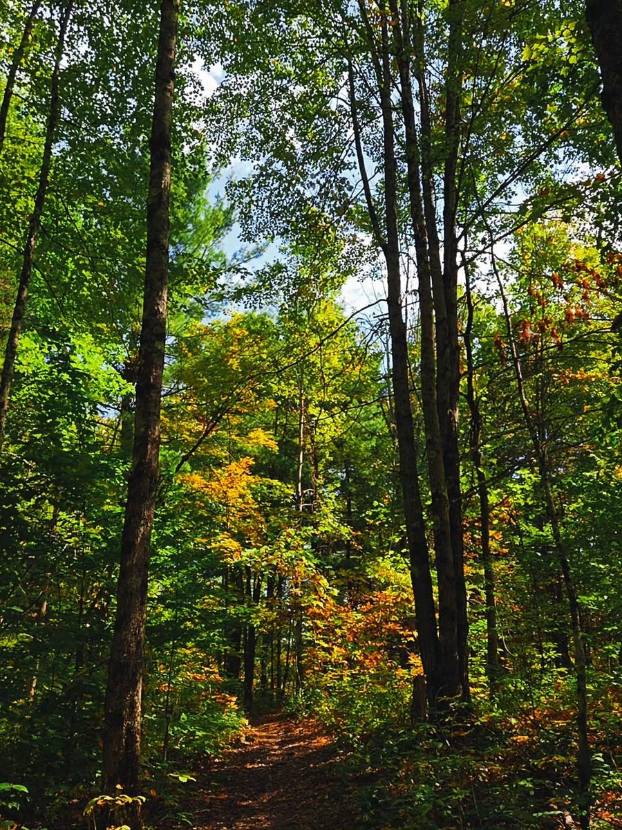 Sunday sights with the last bits of summer hanging on 🌤