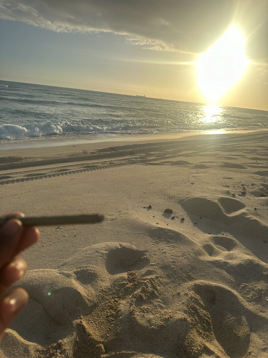 kaihereX's tweet image. 