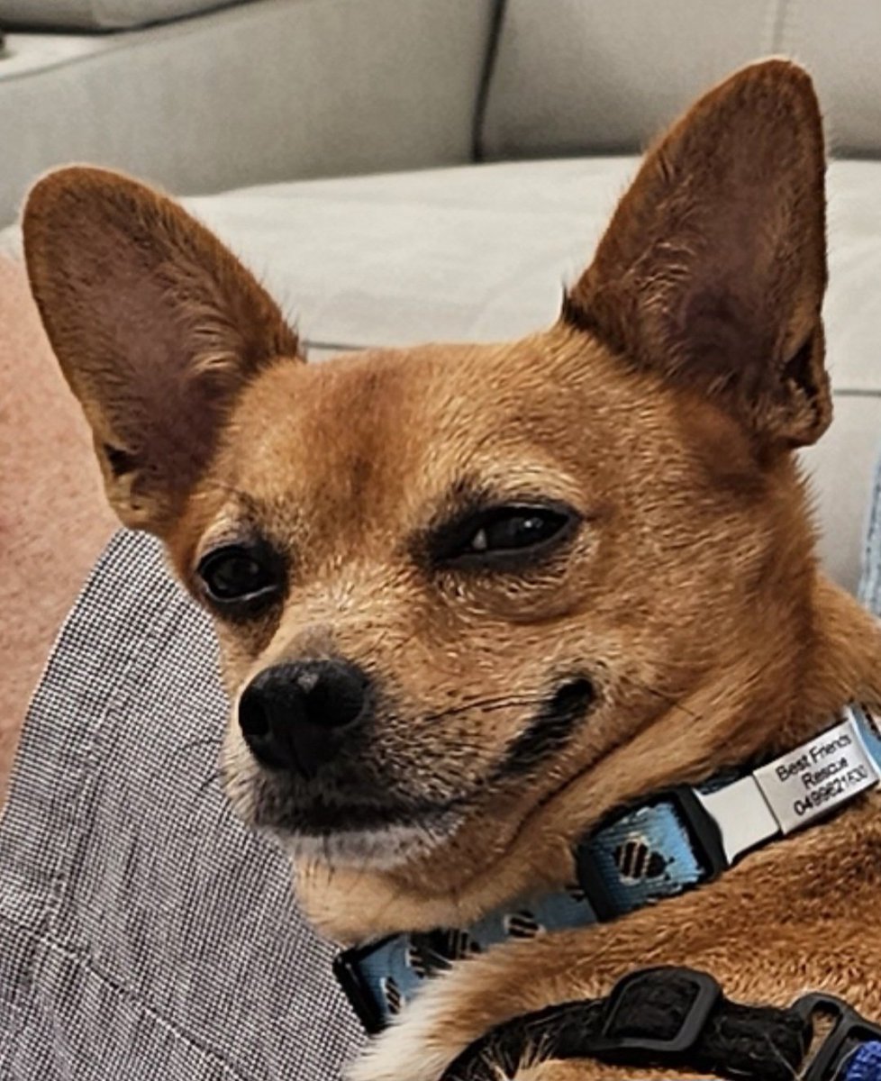 Wordle 1,549 2/6

⬜⬜🟨🟩⬜
🟩🟩🟩🟩🟩