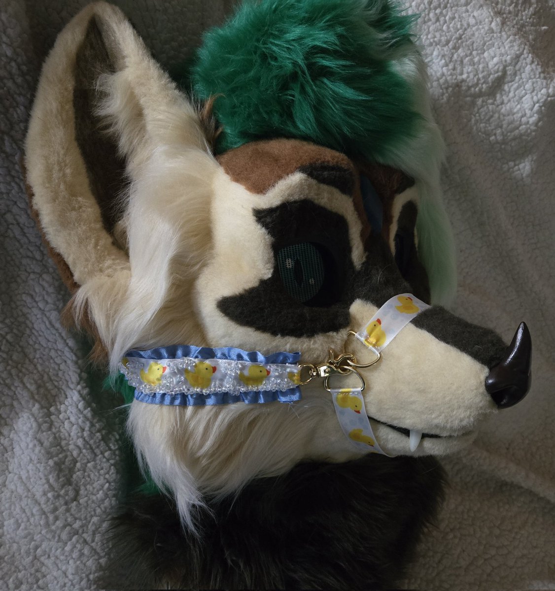 KeyKaye ➡️ who knows tweet media