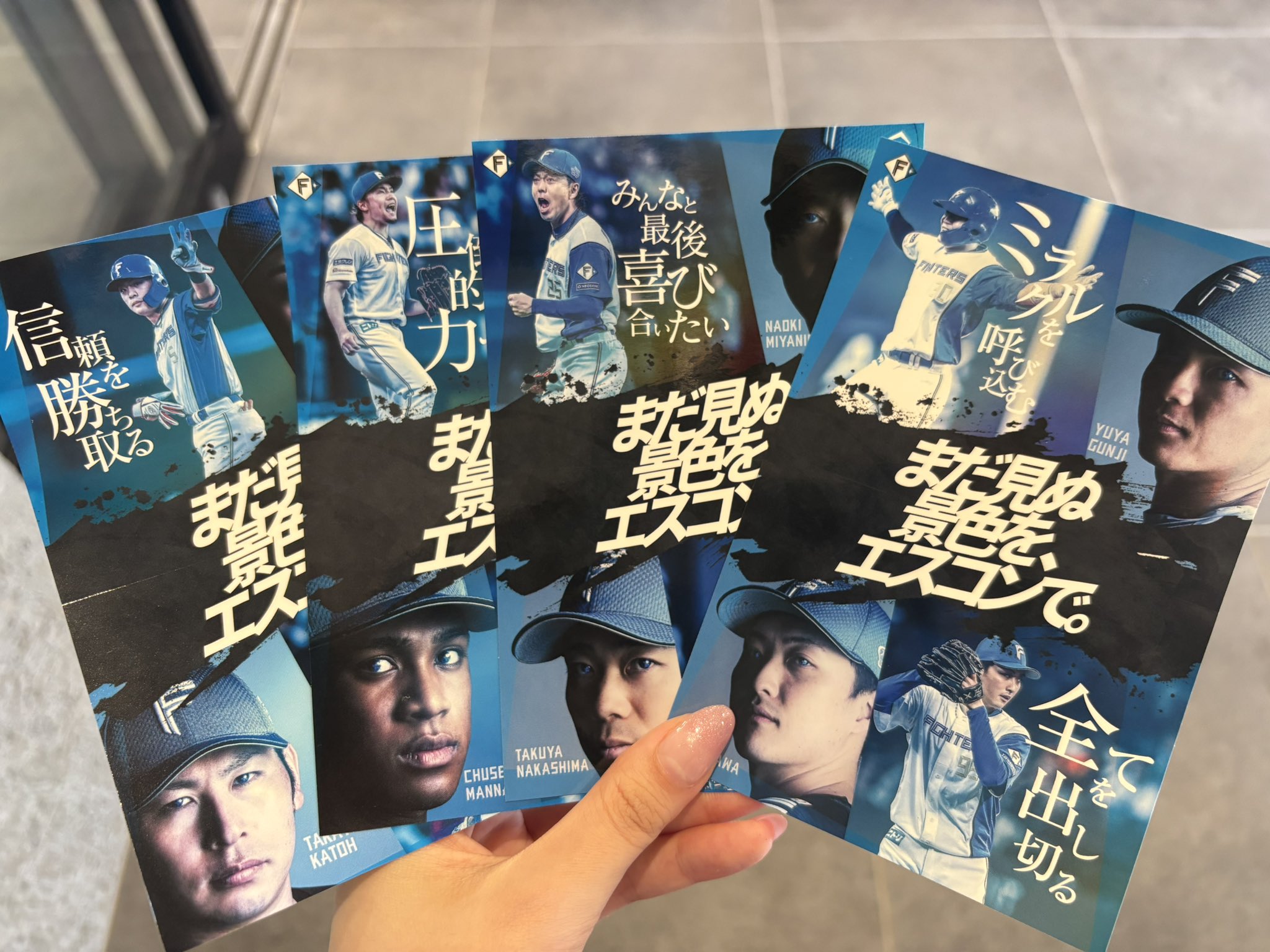 michi１剤8本２剤1本よろしくお願いします。 ニオイと成分で寄せ付けない 野良猫・野良犬Z 4964283104540