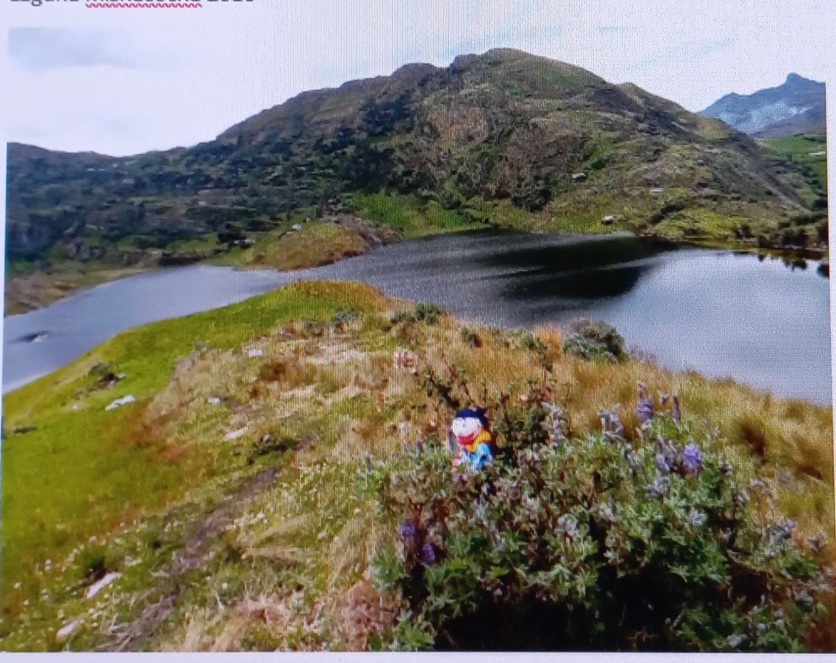 Donha_Ines's tweet photo. Oh...buena caminata! Laguna Alforjacocha o también conocida como "laguna mariposa" (Sorochuco-Celendin)de Perú https://t.co/jU2yr9B75e