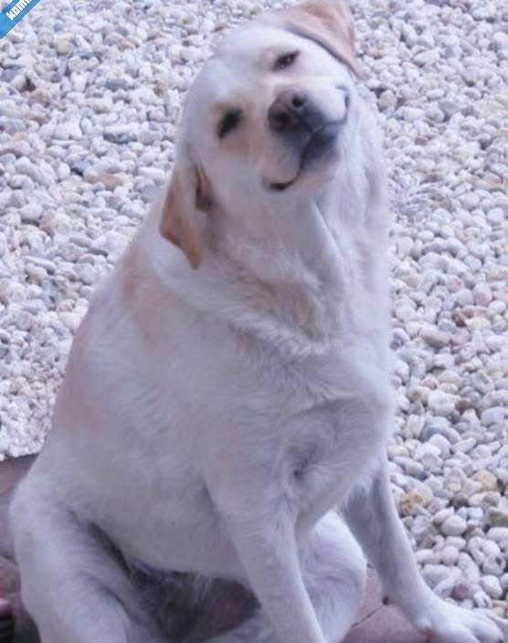 Konuşamadığım için duygularımı ifade edemiyorum sizden güçlü değilim kendimi koruyamıyorum .sadece bıldığim gerçek olan duygularım.bunu anlamakta sizin insafınıza kalmış....