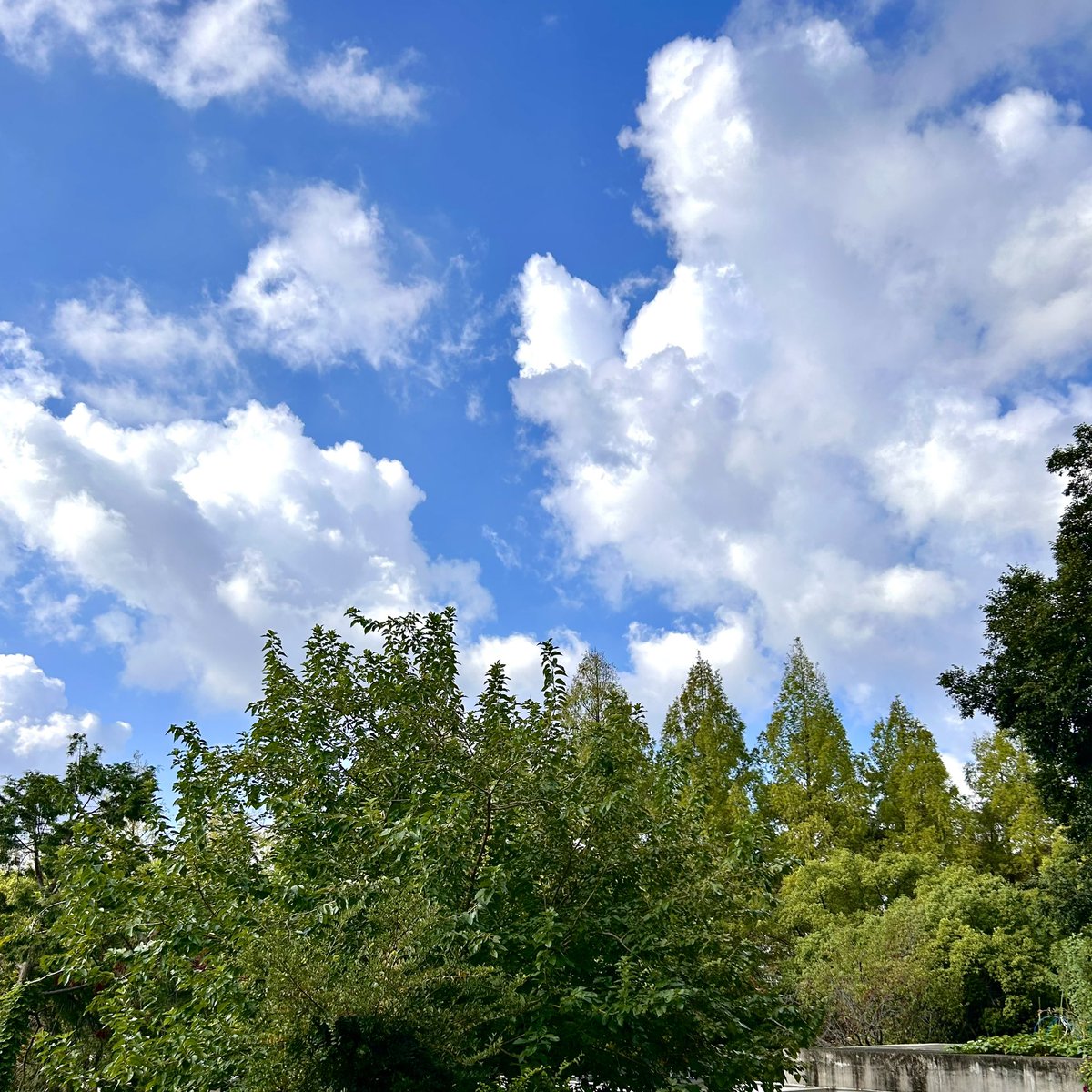 Found your Heaven? tweet media