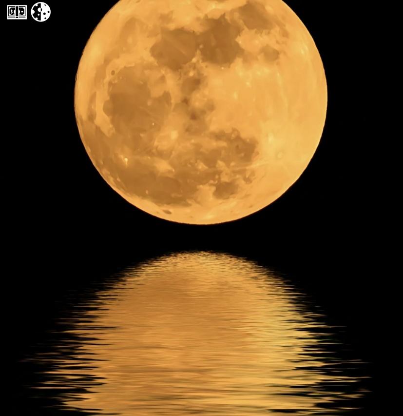 Punctuality is the soul of business.