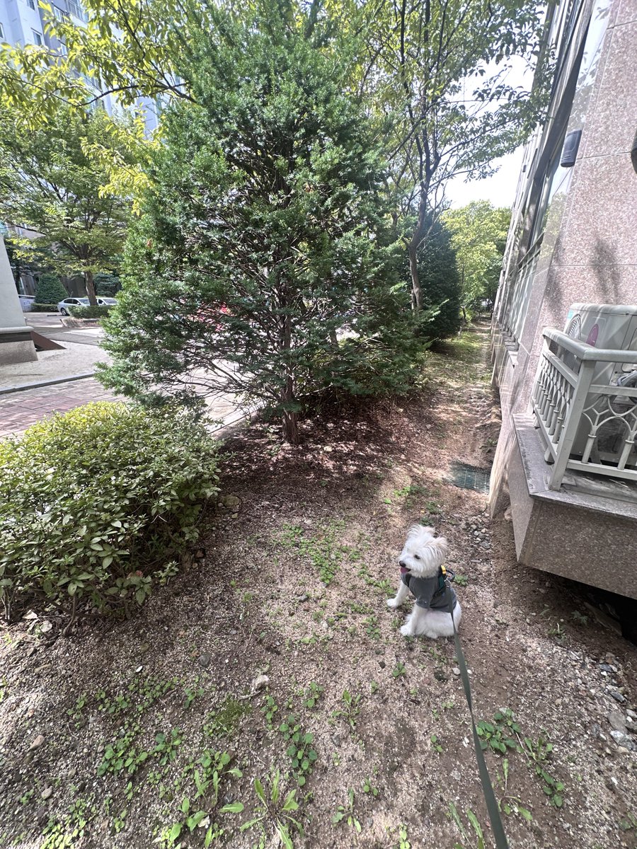 명령하지마라
앉았다간다