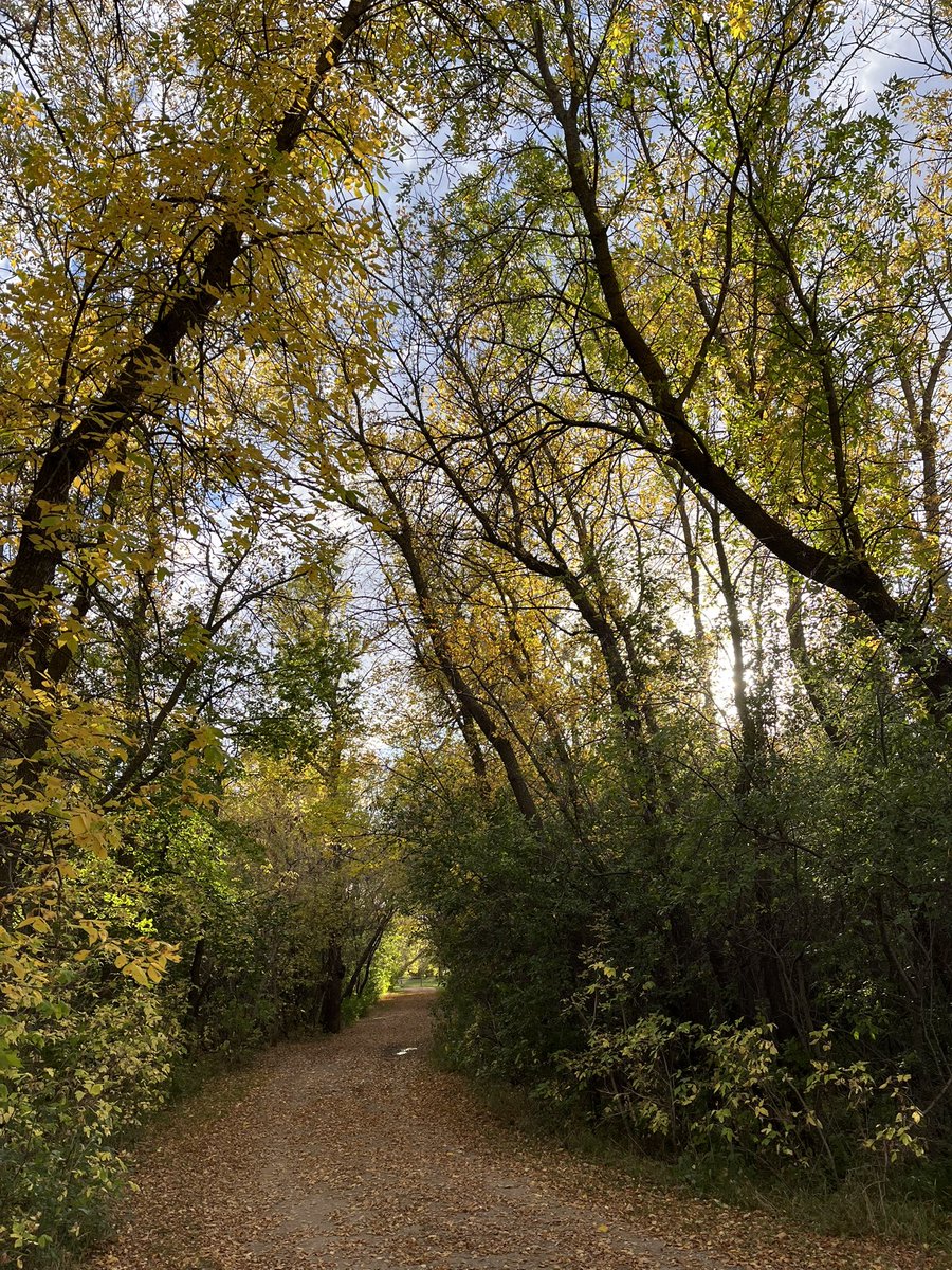 voidcaos's tweet image. it isssss autumnnnnn!! 
cute fall fits, uggs, matching purse 😋😋
yayayaya