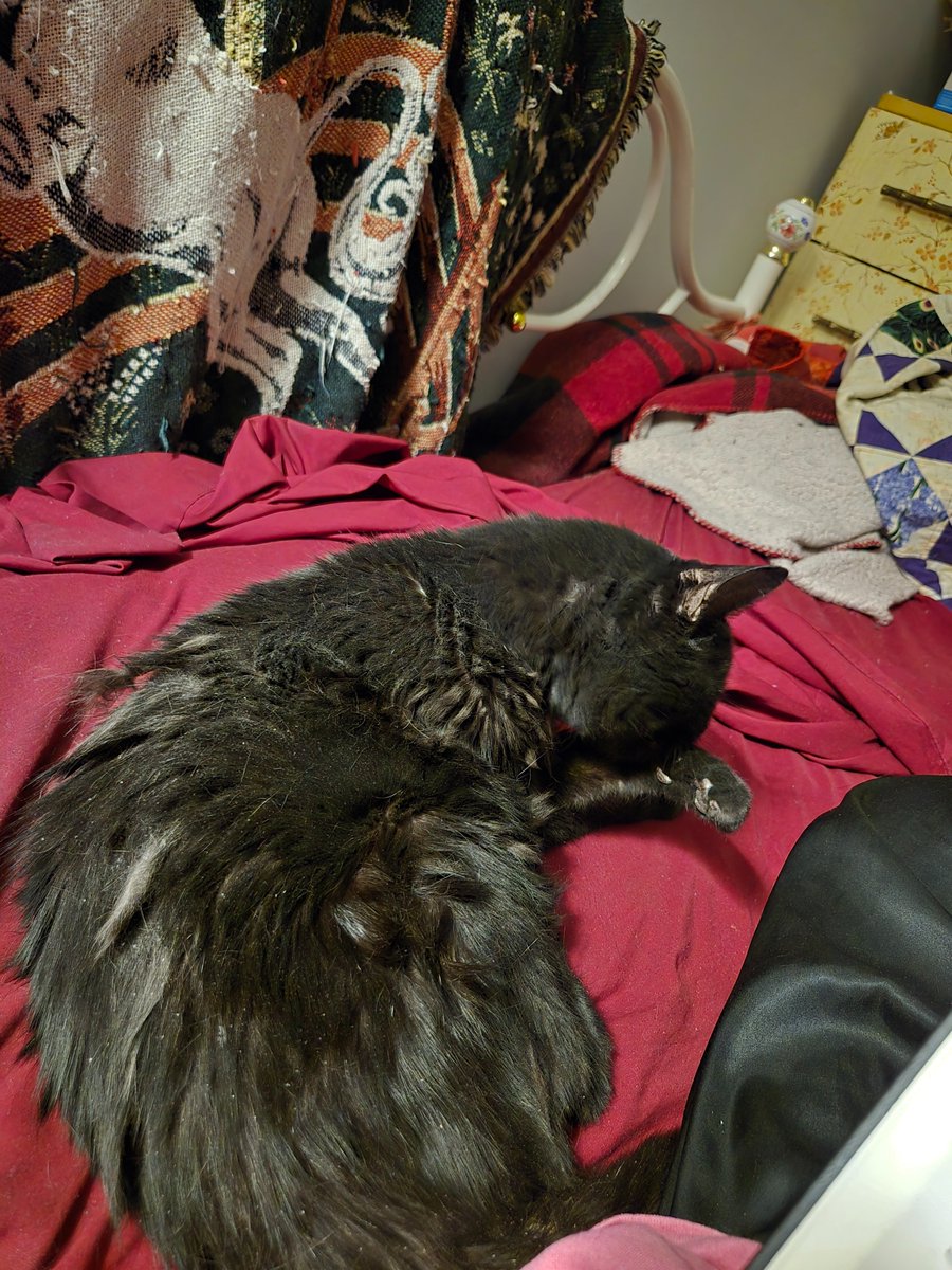 Going to call it a night.  I miss Pixie sleeping with me.