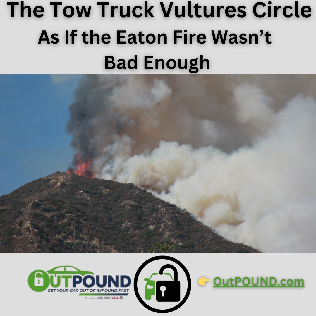 OutPOUND1's tweet photo. Just when Los Angeles County thought it could start breathing again after the Eaton Fire, a new wave of chaos rolled in, on the backs of tow trucks: https://t.co/cNvazYF3bX*
#llegaltows #towedinAltadena #California #eaton #eatonfire #scam #impound #outpound #impoundlot #Impounded https://t.co/R2vGMUrVGd