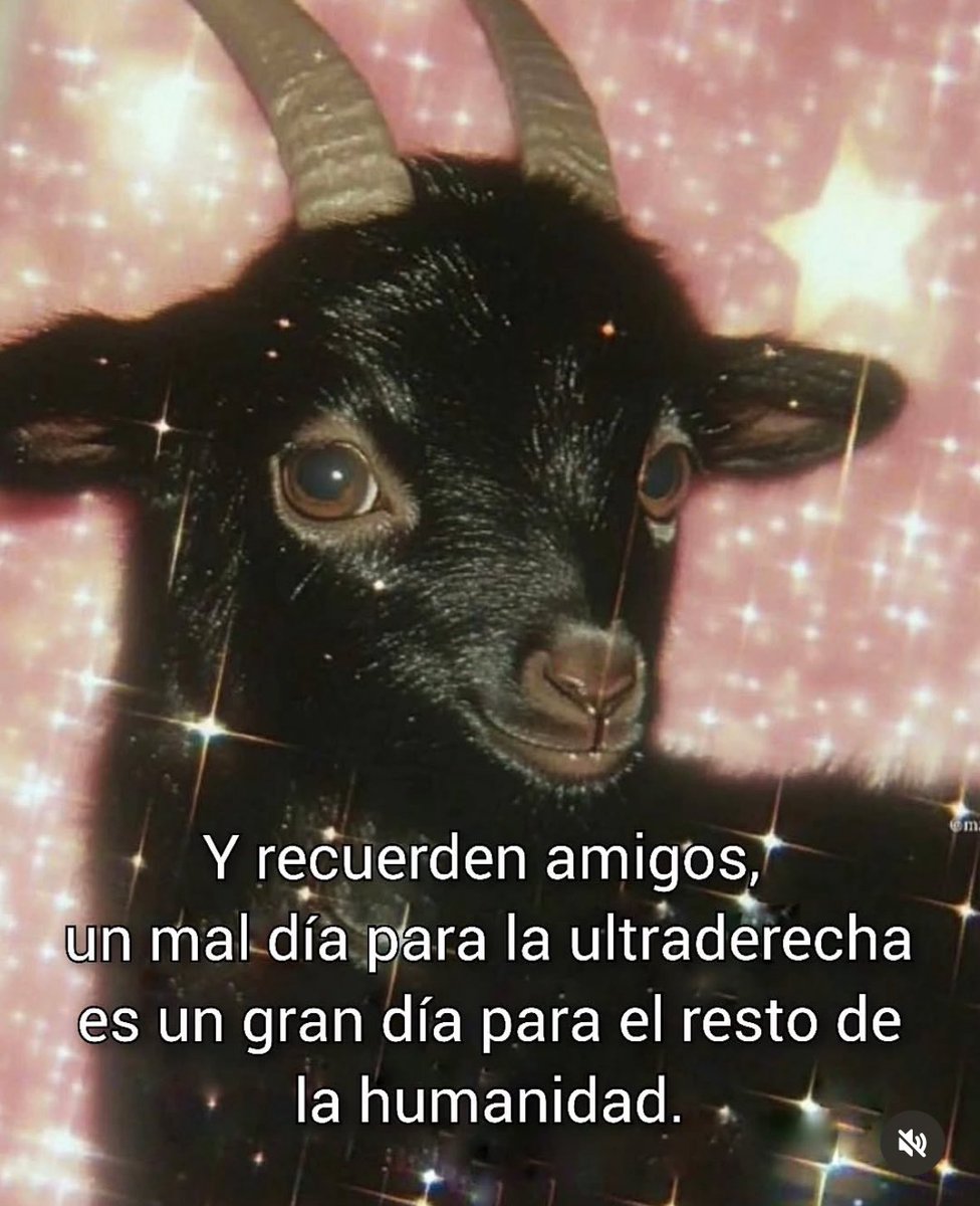 <a href="/oOoConservas/">Authentic Tlacuache 🤘🦡🏳️‍🌈</a>