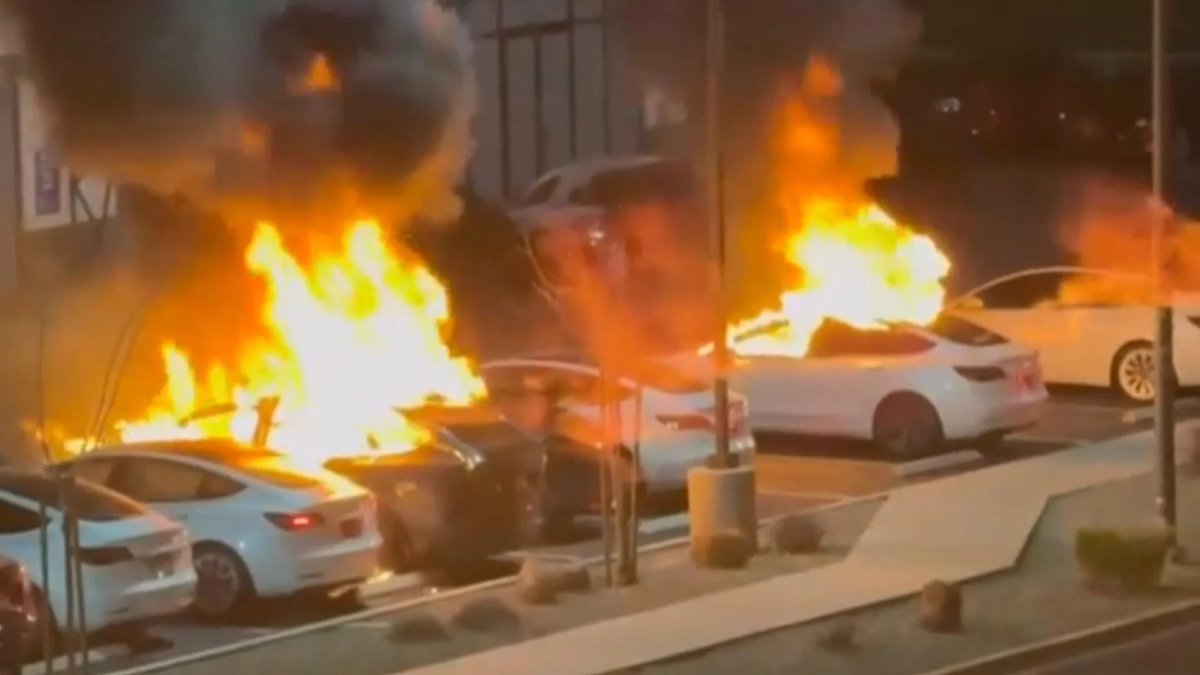 JD Adams, aka Lucky ⭐️ 🌊🏆🇺🇦 tweet media