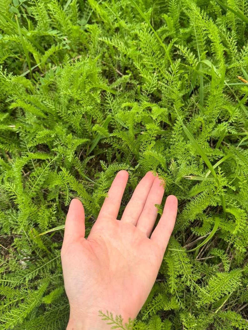 sab111997472's tweet photo. Go to Monday #openseatouchgrass @opensea https://t.co/moriJeTpmx