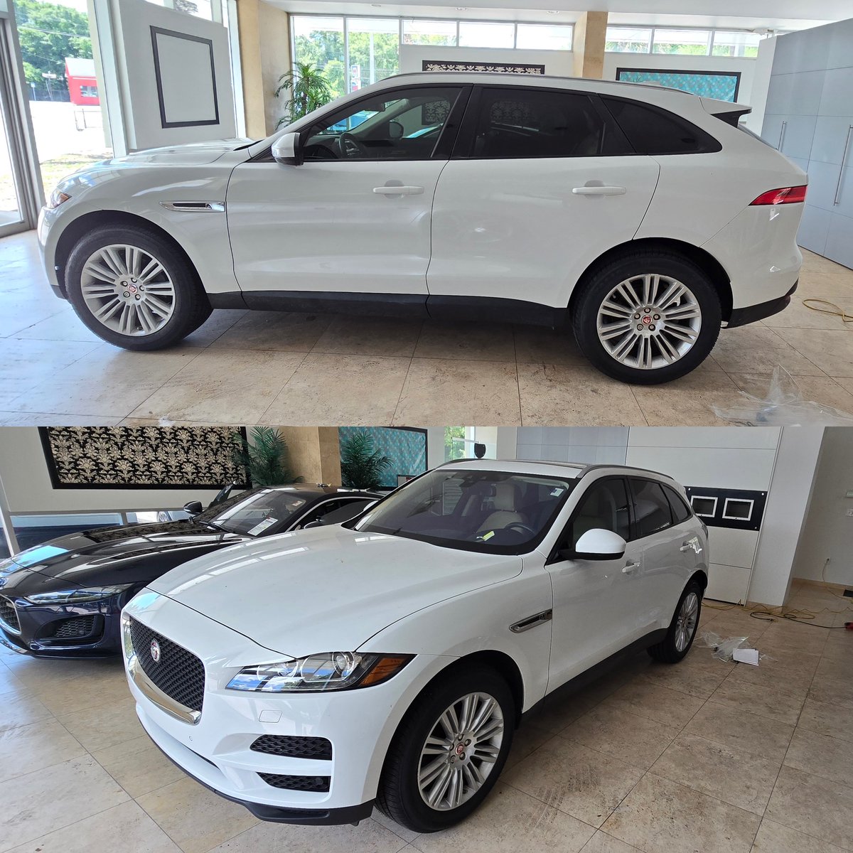 Bay Area Film Solutions tweet media