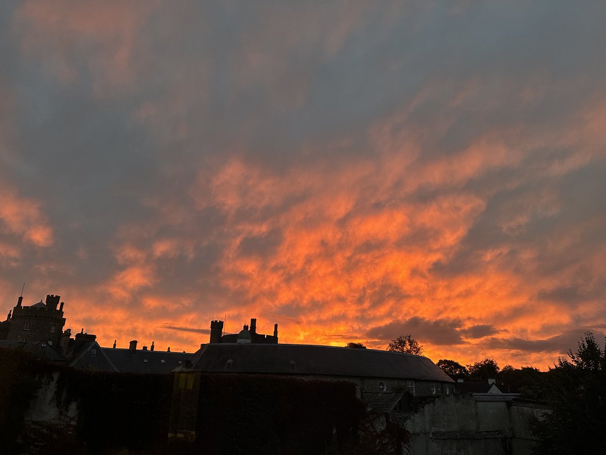 Maria Fadiman tweet media