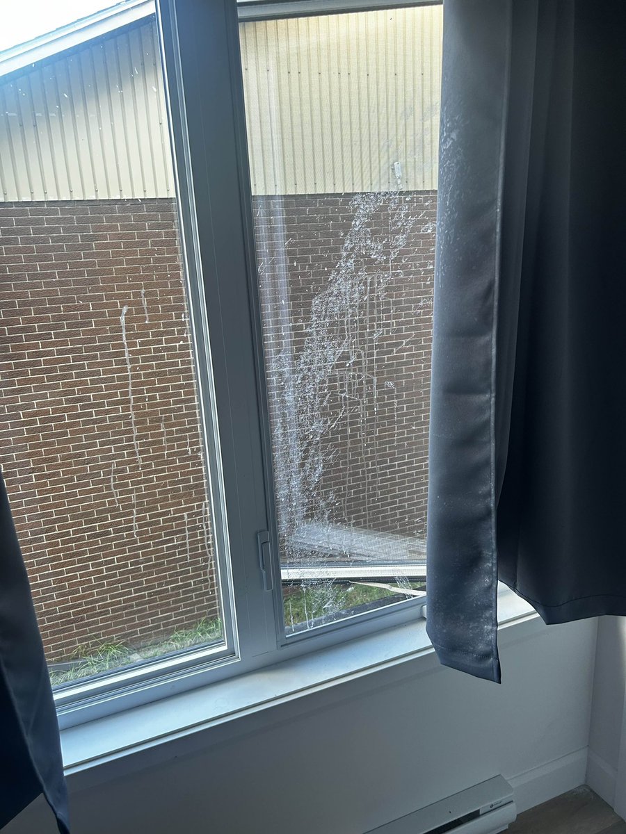 Imagine doing that kinda shit in the big 25.

Never ever leaving my windows open at night anymore

Where tf is this world going lol