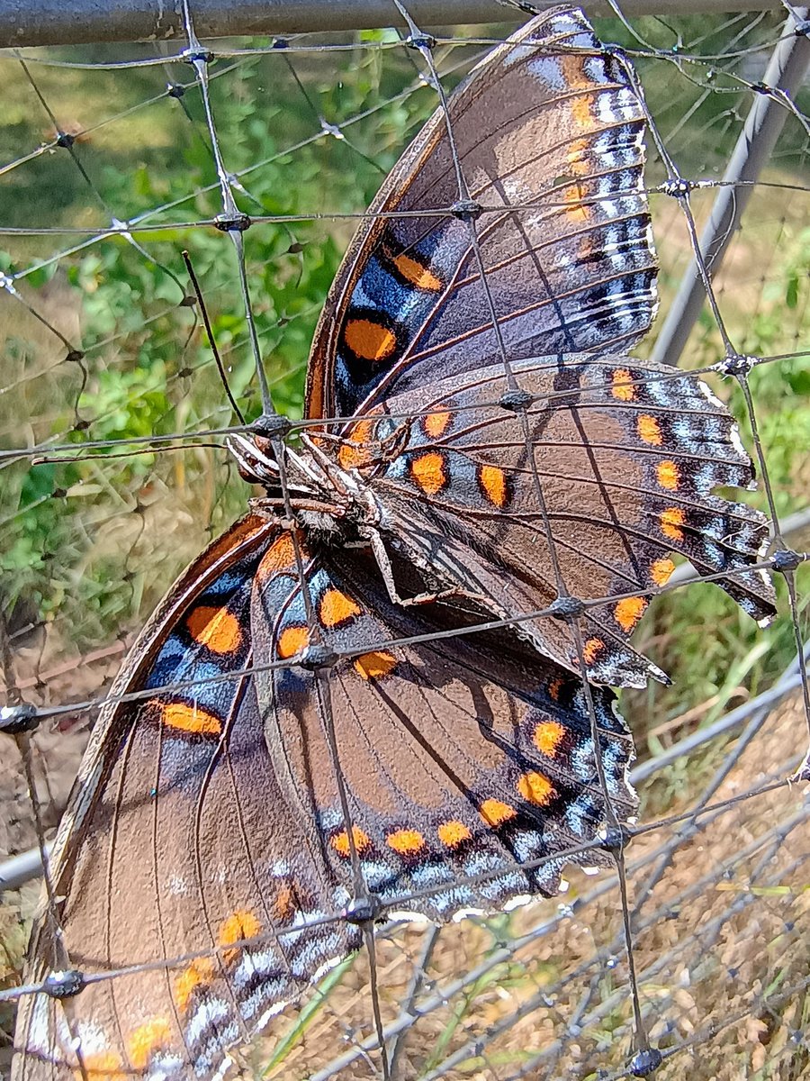 What Is My Mindset? 

Do you have a fixed or growth mindset? 

To find out, start by reading the following statements and  decide which ones you agree with most: 

1. You're born with a certain amount of intelligence and it isn't something that can be changed. 

2. No matter who