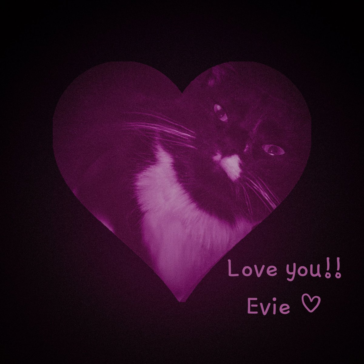 mister_breck's tweet photo. Evie’s message of love https://t.co/vbi1O8roja