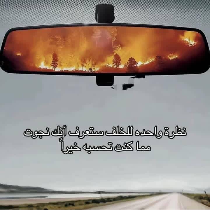 🎻 #قيثارة_النيل