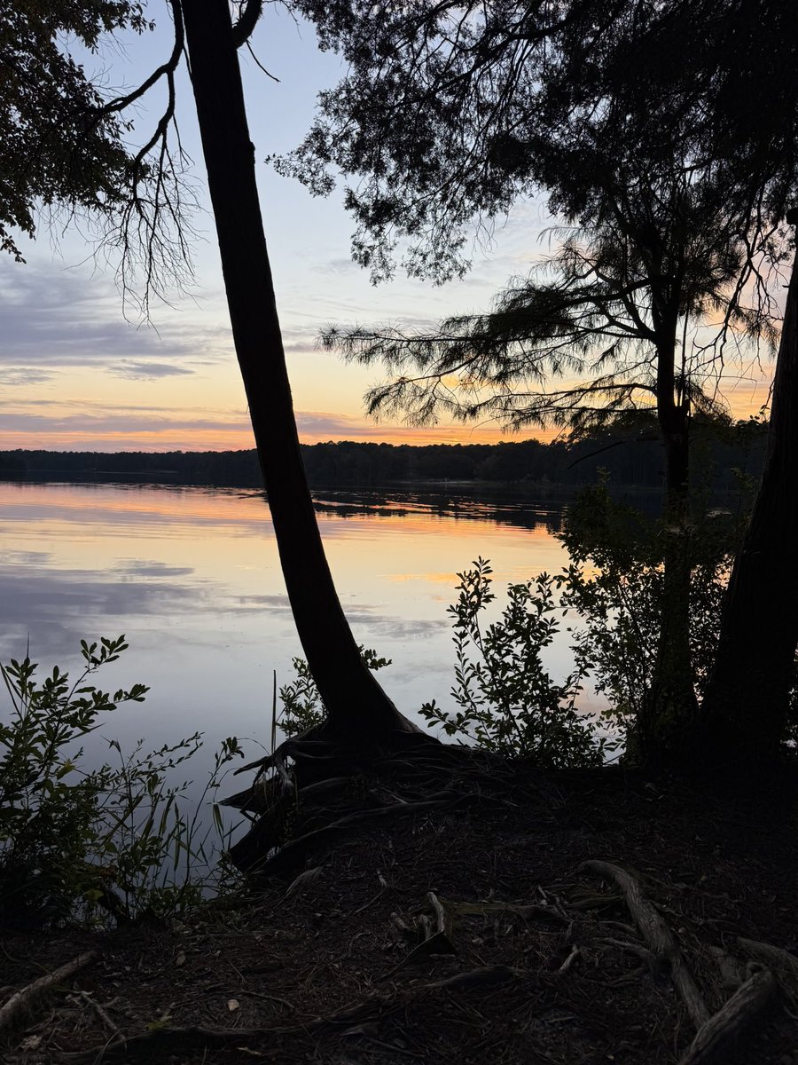 mbloveroadtrips's tweet image. Help I can’t stop taking pictures of the beautiful sunset 🌆 over Lake Juniper S.C. tonight #sunsetvibes #sunsetlover