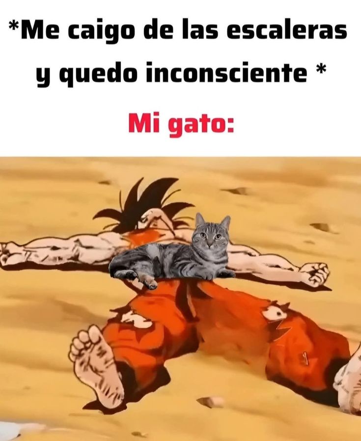 𝘒𝘢𝘨𝘶𝘺𝘢 𝘚𝘢𝘮𝘢 𝘍𝘢𝘯 ~愛~ (@kaguyasama_fan) on Twitter photo 