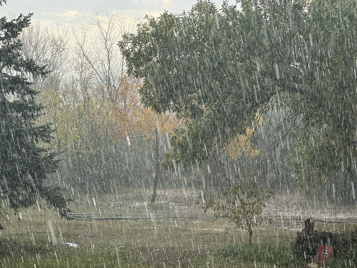 Rob Stone 🇨🇦 🧢 tweet media