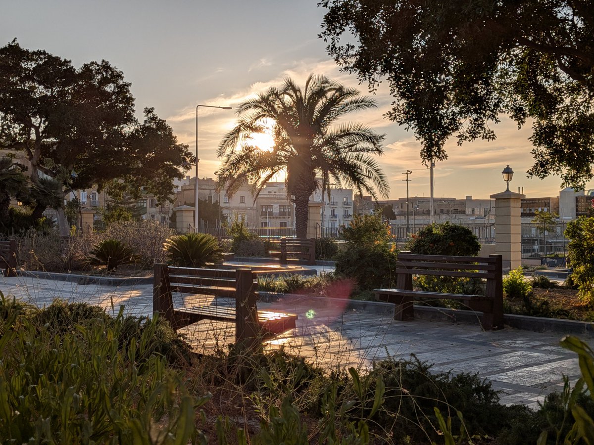 enscribe tweet media