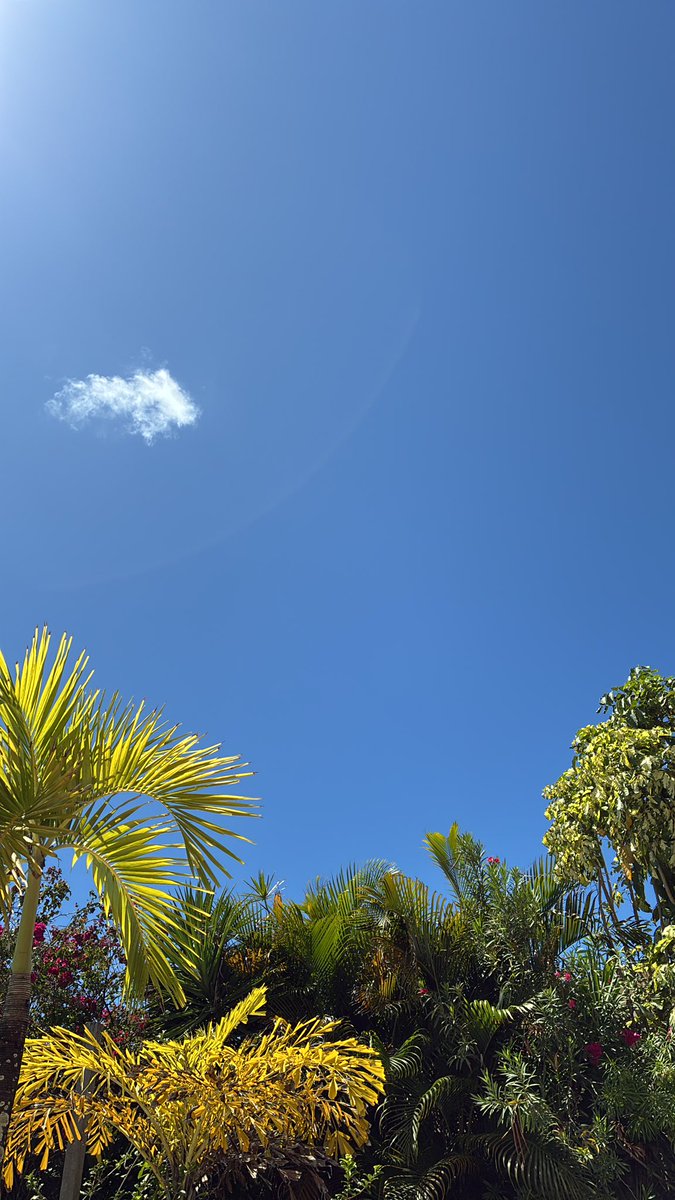 Salvador hoje doutrinou no quesito SOL BOM PRA TOMAR UMA