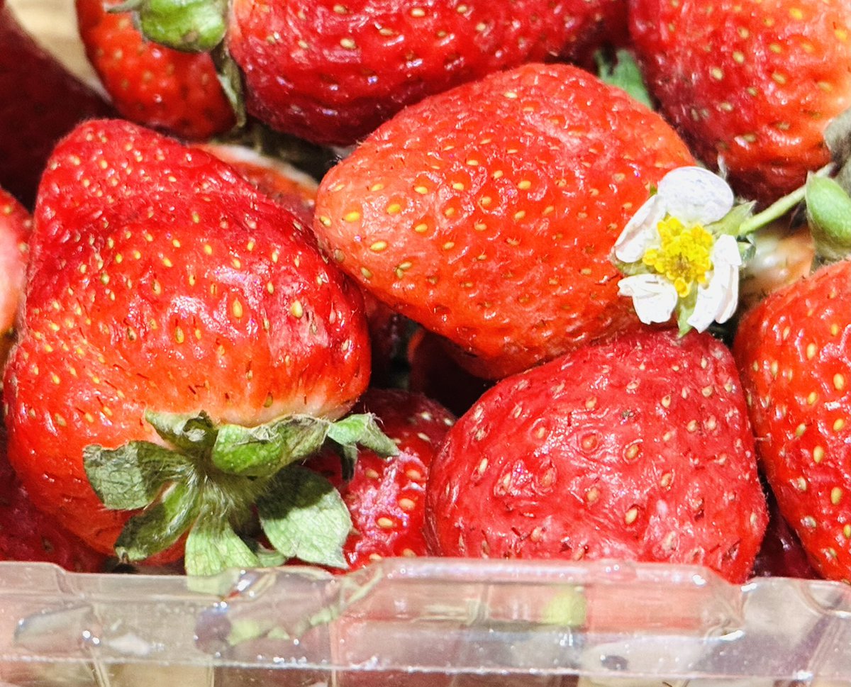苺のパックに苺の花が入ってた!
🍓 当たりや