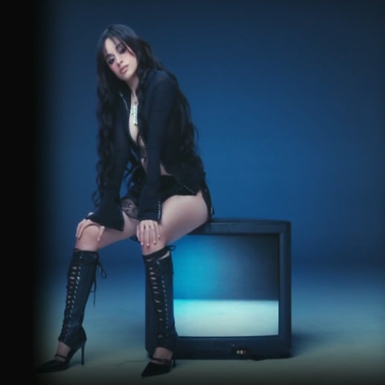 WWCamilaCabello tweet picture