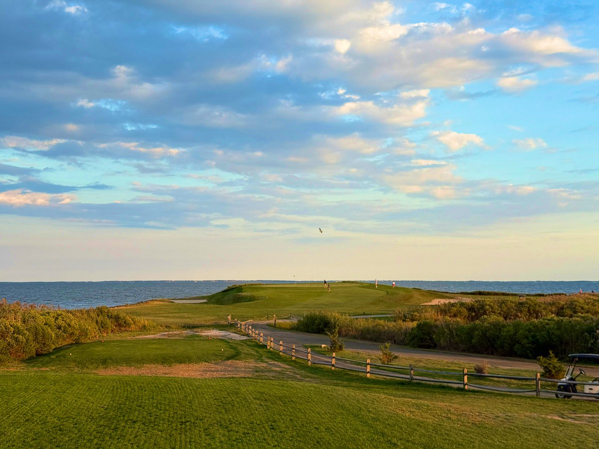 Rick Golfs tweet media