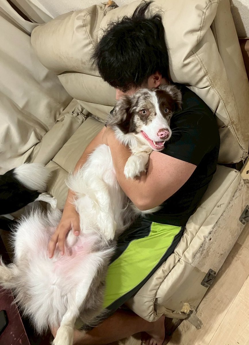 きょーへい (@jumper433) / Posts / X