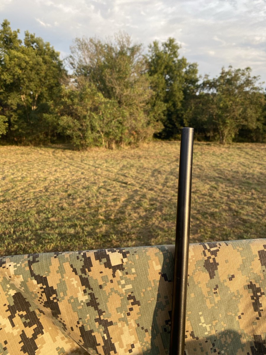 Took a little one here last evening, hopin his Momma who was very upset about it comes back tonight! #IYKYK #Relentless #7