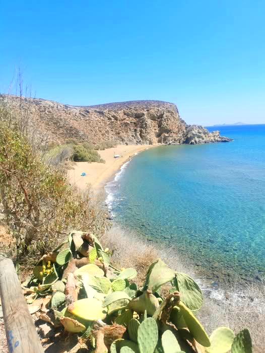 Anafi is where the Aegean whispers secrets. 🌵

💙 Remote, radiant, and raw, golden sands, prickly pears, and a silence that feels sacred. No crowds, just soul.

#Anafi #HiddenGreece #AegeanEscape