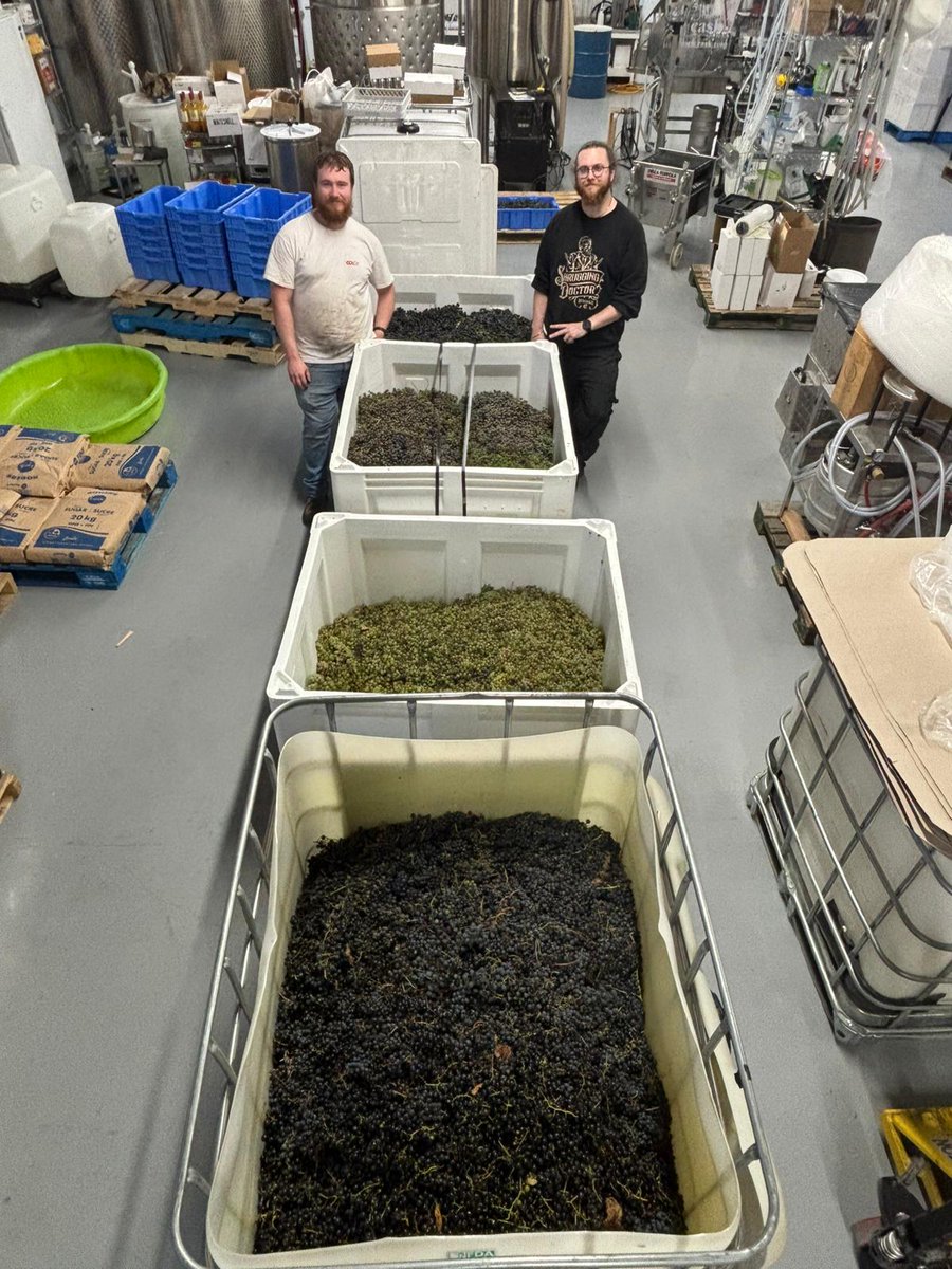 Wpg's Only Winery 🍷 tweet media