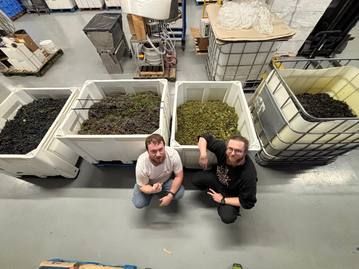 Wpg's Only Winery 🍷 tweet media