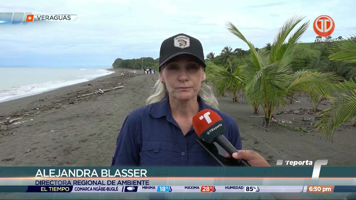 TReporta's tweet photo. Todo tipo de desechos fueron encontrados en Playa Malena, la cual es utilizada para el anidación de tortugas marinas, en el distrito de Mariato, en la provincia de Veraguas.

Esta situación genera preocupación, así como la extracción de arena. https://t.co/BGtePVGwuP
