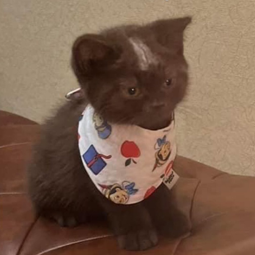 yoojeenoo's tweet image. สวัสดีวันจันทร์