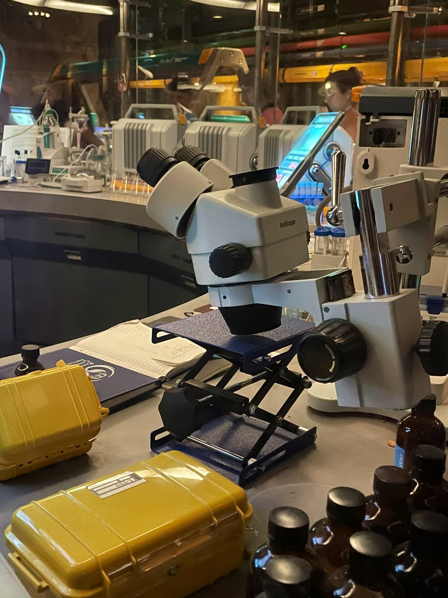 Elizabeth Bozner tweet media