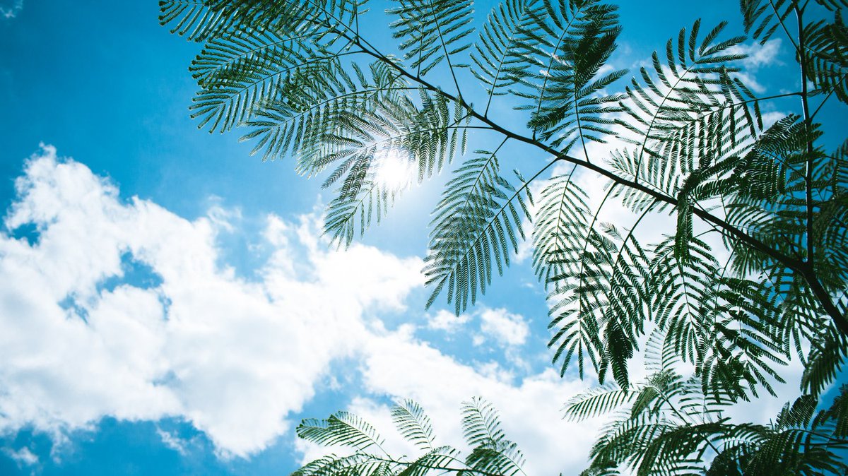 PrestigeCoachin's tweet image. What makes you feel truly alive? 🌟🖊️ 
Reflect on moments that spark joy and energy. Write them down and prioritize your aliveness!
#MindfulJournaling #FeelAlive #PositiveReflection