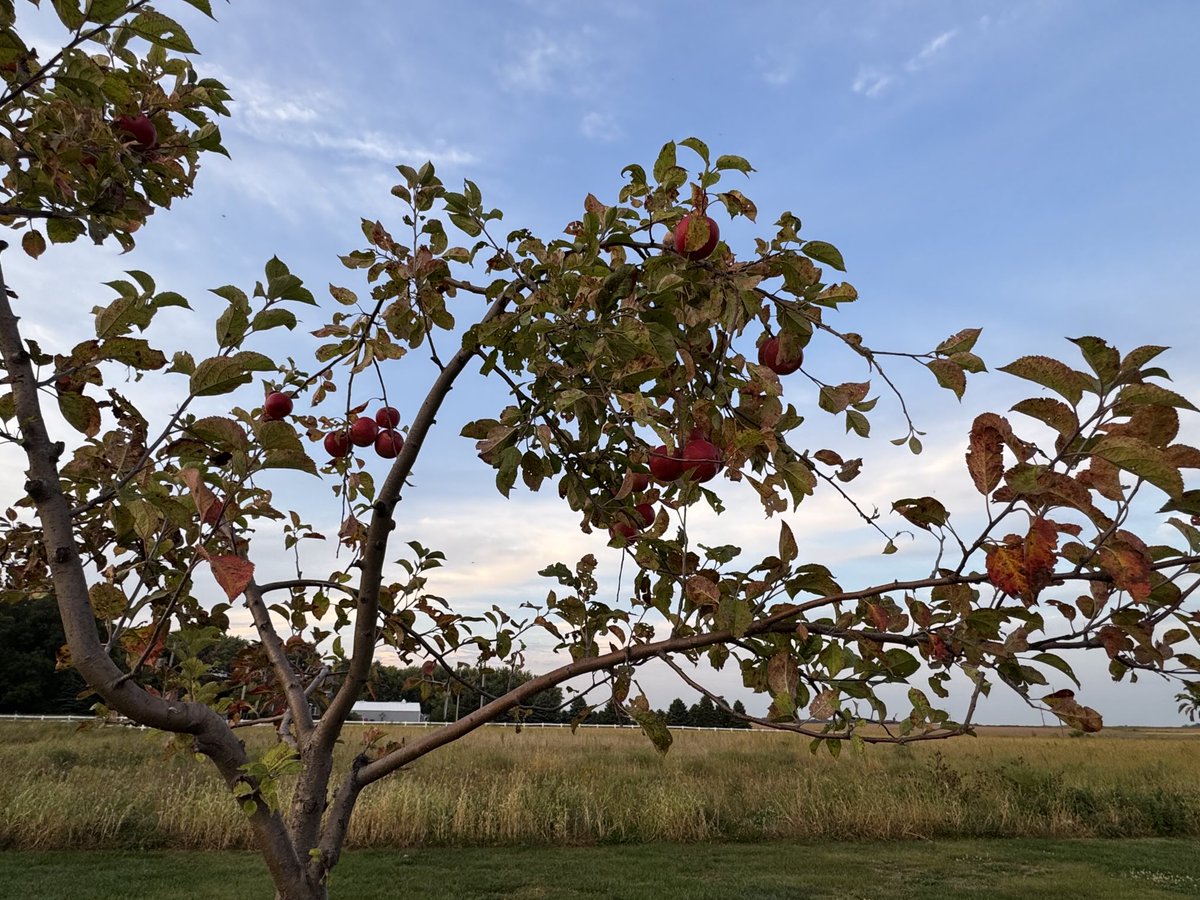 Signs of September. 🍎