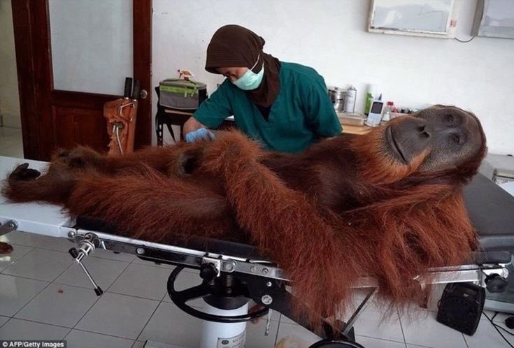 allaseal's tweet image. i don’t feel good.